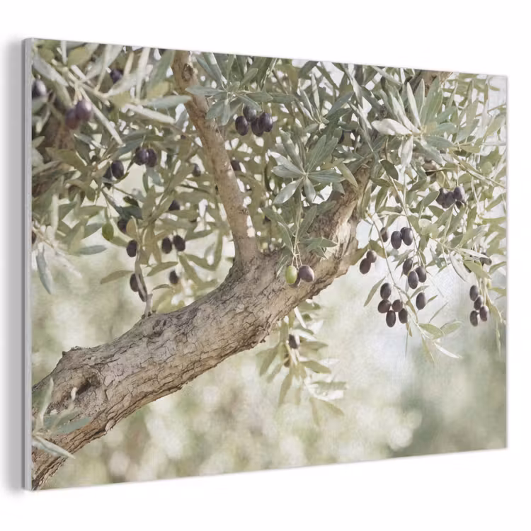 Acoustic Panel - Olive tree - branch - green - Olijfboom - tak - groen PET vilt klein