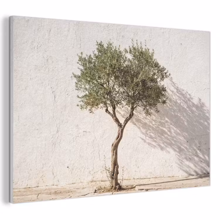 Acoustic Panel - Olive Tree - Wall - White - Olijfboom - muur - wit PET vilt klein