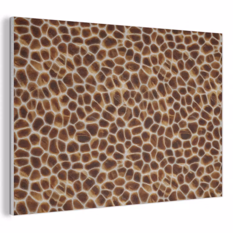 Schildpad - Bruin - Patroon PET vilt klein 837 -3d
