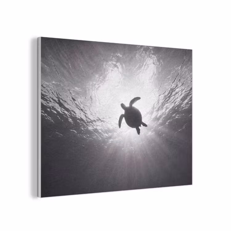 Schildpad - Onderwater - Lichtstralen - Oceaan - Zwart-wit PET vilt klein -3d