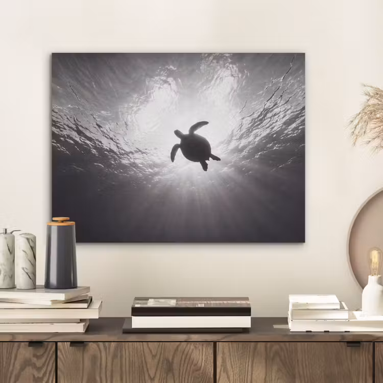 Schildpad - Onderwater - Lichtstralen - Oceaan - Zwart-wit PET vilt klein -sfeer1