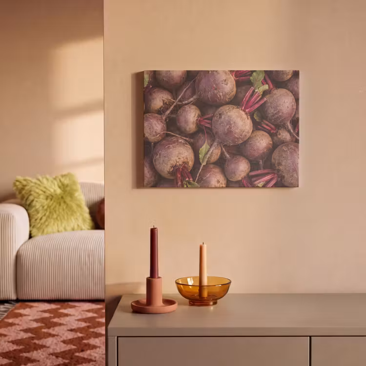 Acoustic Panel - Vegetable - Red - Natural - Groente - Rood - Natuur PET vilt klein
