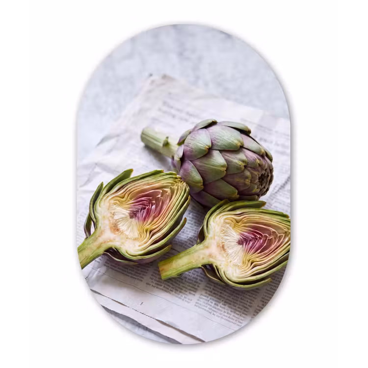aluminium oval wall art - Artichoke - Sliced - Food - Artisjok - Doorgesneden - Eten Wandcirkel Ovaal Aluminium middel