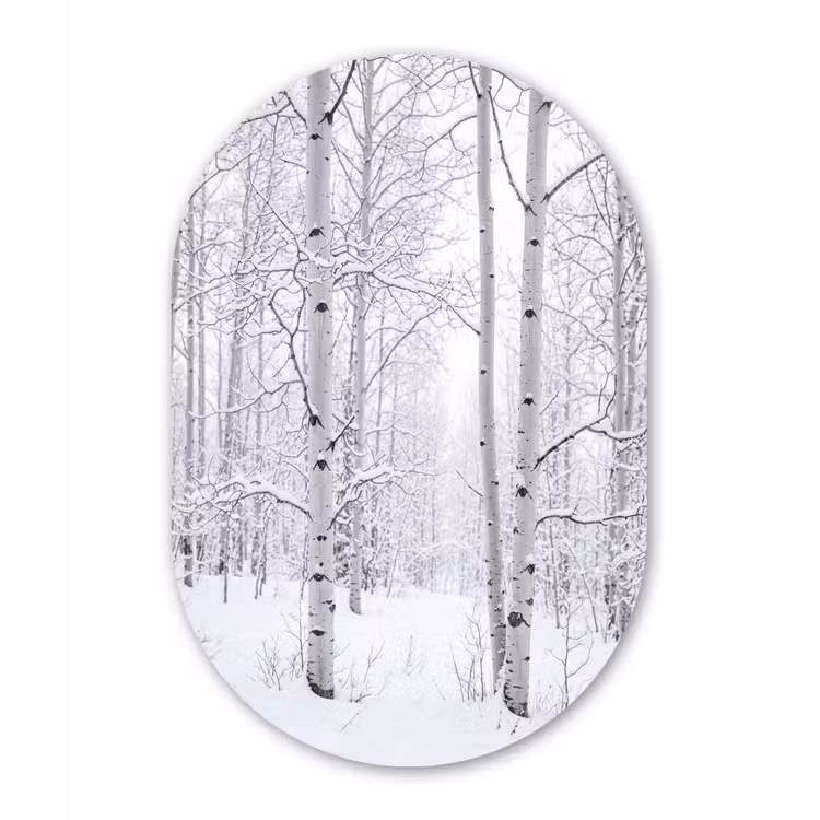 Berkenbomen - Sneeuw - Winter - Bos - Wit Wandcirkel Ovaal Aluminium middel -3d