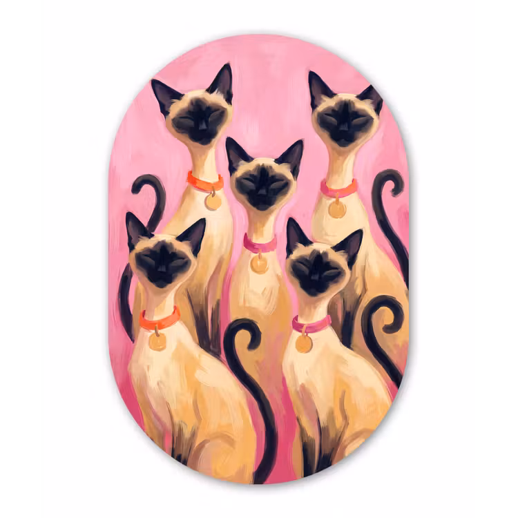 Kat - Groep - Dieren - Modern - Roze Wandcirkel Ovaal Aluminium middel -3d