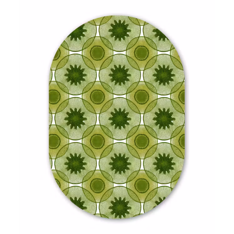 Cirkels - Patroon - Groen Wandcirkel Ovaal Aluminium middel 839 -3d