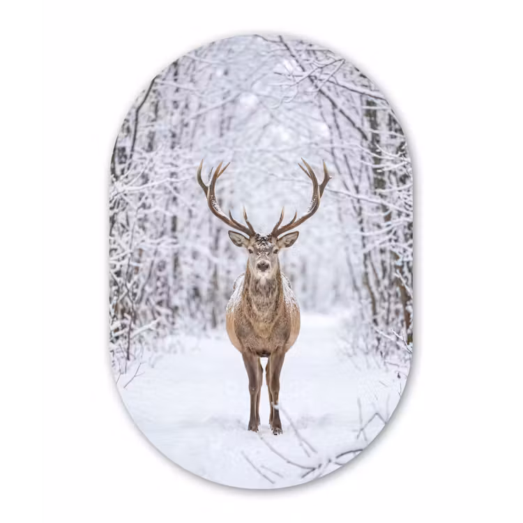 Hert - Winter - Bos - Natuur - Wit Wandcirkel Ovaal Aluminium middel -3d