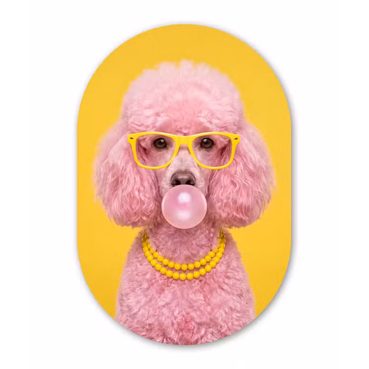 Hond - Kauwgum - Dieren - Modern - Roze Wandcirkel Ovaal Aluminium middel -3d