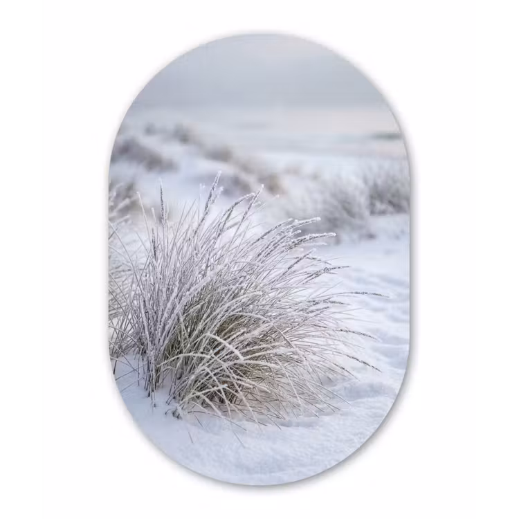 Duinen - Sneeuw - Strand - Winter - Serene Wandcirkel Ovaal Aluminium middel -3d
