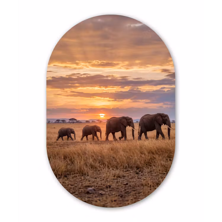Olifanten - Savanne - Zonsondergang - Afrika - Warm Wandcirkel Ovaal Aluminium middel -3d