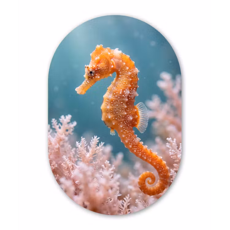 Vis - Koraal - Oceaan - Macro - Oranje Wandcirkel Ovaal Aluminium middel -3d