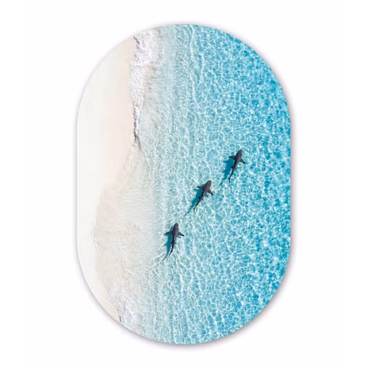 Vis - Oceaan - Strand - Turquoise - Natuur Wandcirkel Ovaal Aluminium middel -3d