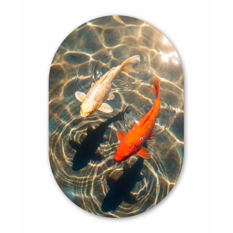 Vis - Water - Dieren - Oranje - Goud Wandcirkel Ovaal Aluminium middel -3d