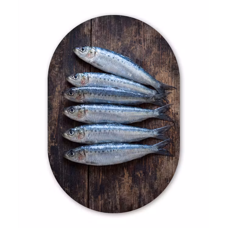 aluminium oval wall art - Fish - Wood - Food - Vis - Hout - Eten Wandcirkel Ovaal Aluminium middel
