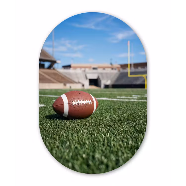 Football - Veld - Stadion - Sport Wandcirkel Ovaal Aluminium middel -3d