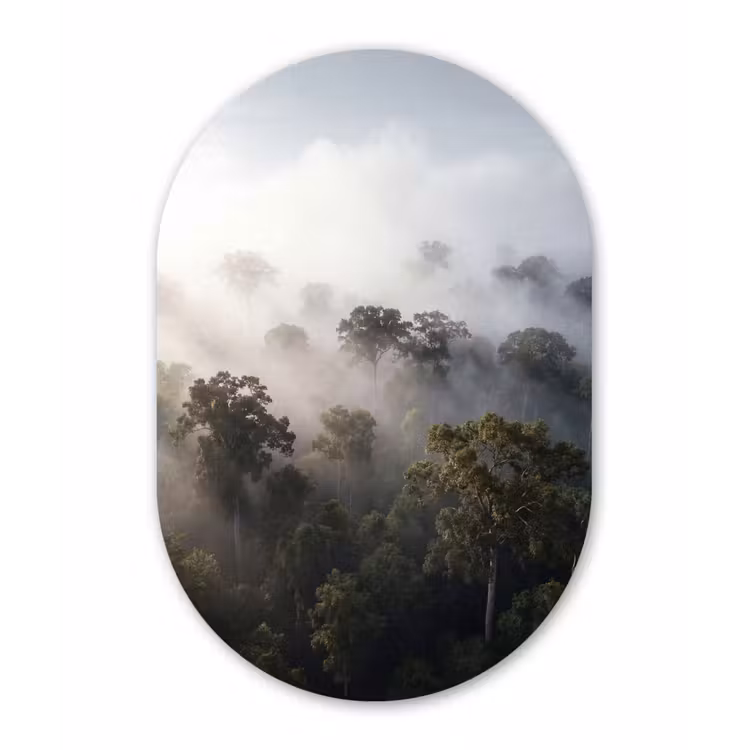 Bos - Mist - Natuur - Groen Wandcirkel Ovaal Aluminium middel -3d