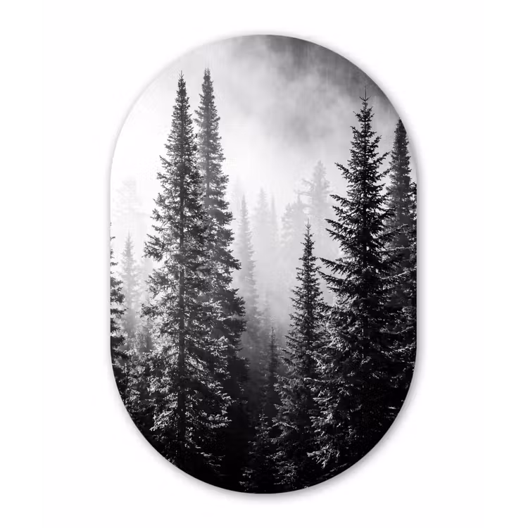 Bos - Mist - Winter - Monochroom - Natuur Wandcirkel Ovaal Aluminium middel -3d