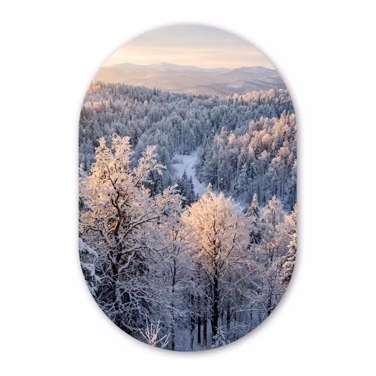 Bos - Bergen - Goud - Winter - Warm Wandcirkel Ovaal Aluminium middel -3d