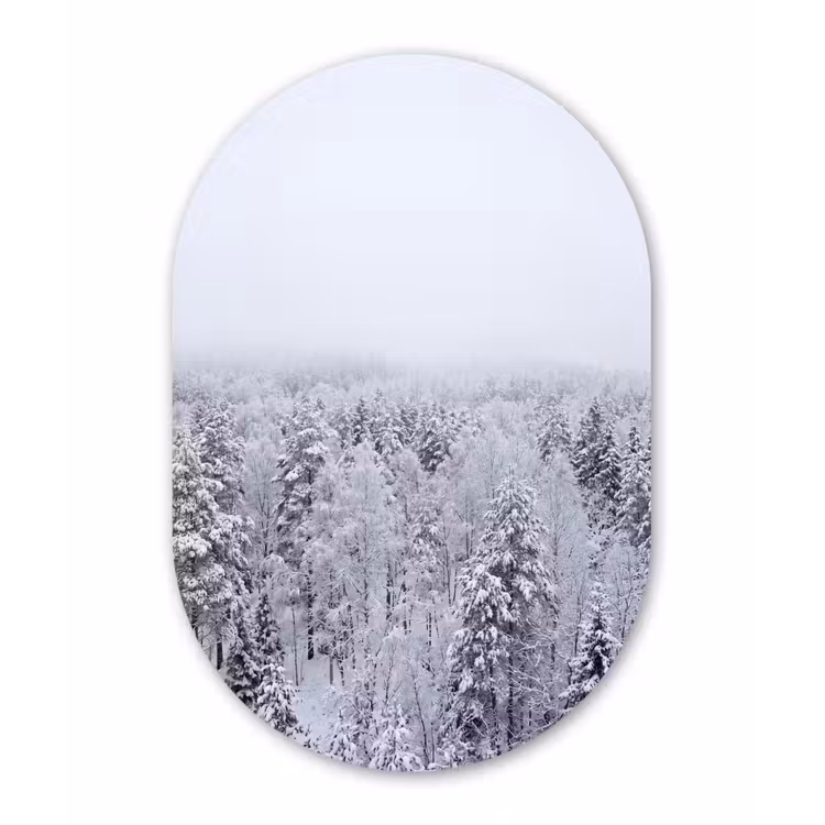 Bos - Sneeuw - Winter - Natuur - Wit Wandcirkel Ovaal Aluminium middel -3d