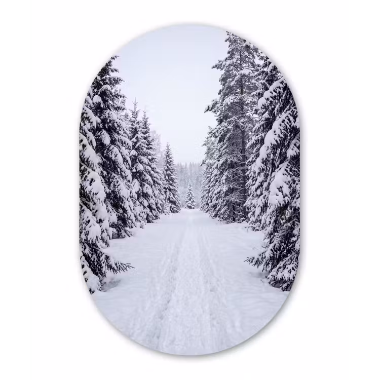 Bos - Winter - Sneeuw - Pad - Natuur Wandcirkel Ovaal Aluminium middel -3d
