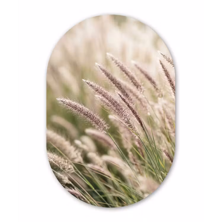 Gras - Close up - Groen Wandcirkel Ovaal Aluminium middel -3d