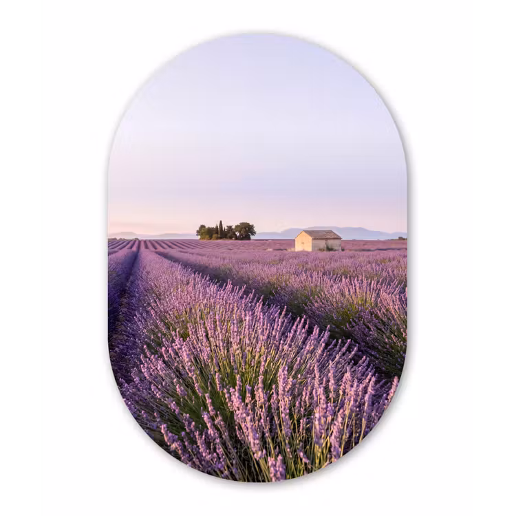 Lavendel - Landschap - Sereen - Paars Wandcirkel Ovaal Aluminium middel -3d