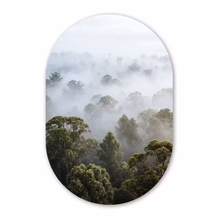 Natuur - Mist - Bos - Ochtend - Goud Wandcirkel Ovaal Aluminium middel -3d