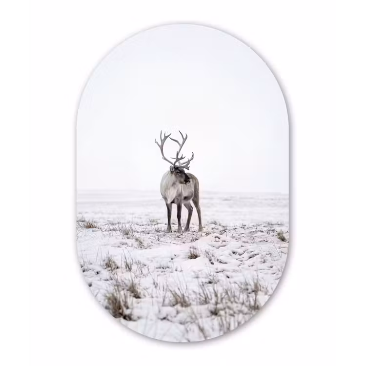 Rendier - Gewei - Sneeuw - Winter Wandcirkel Ovaal Aluminium middel -3d