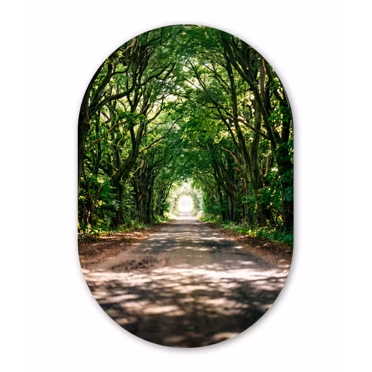 Weg - Bomen - Natuur - Groen Wandcirkel Ovaal Aluminium middel -3d
