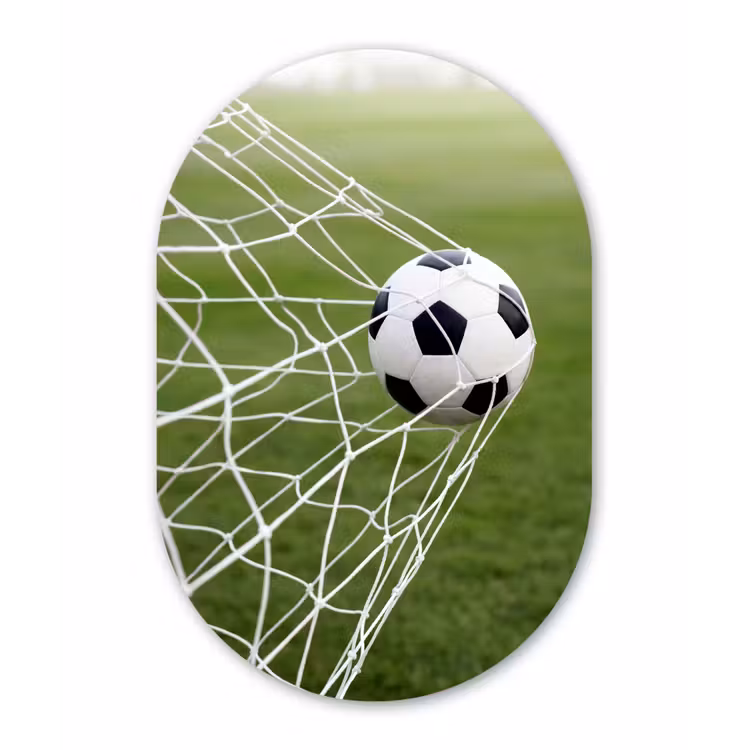 Voetbal - Goal - Net - Sport Wandcirkel Ovaal Aluminium middel -3d