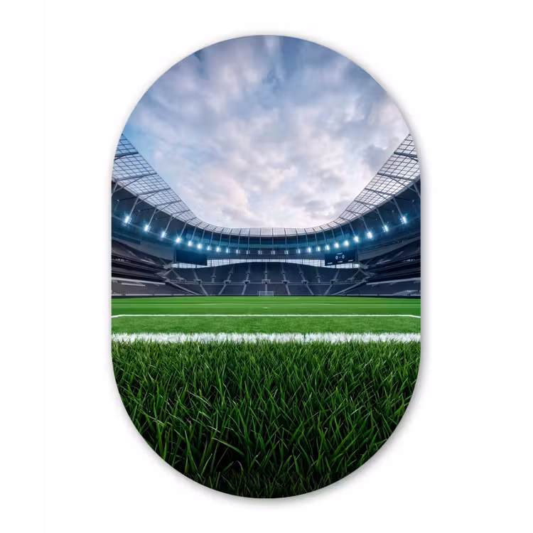 Voetbal - Stadion - Sport - Groen Wandcirkel Ovaal Aluminium middel -3d