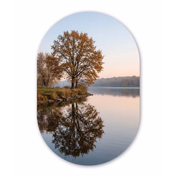 Bomen - Reflectie - Water - Zonsopgang - Serene Wandcirkel Ovaal Aluminium middel -3d