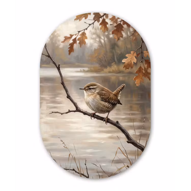 Winterkoninkje - Tak - Rivier - Natuur - Sfeervol Wandcirkel Ovaal Aluminium middel -3d