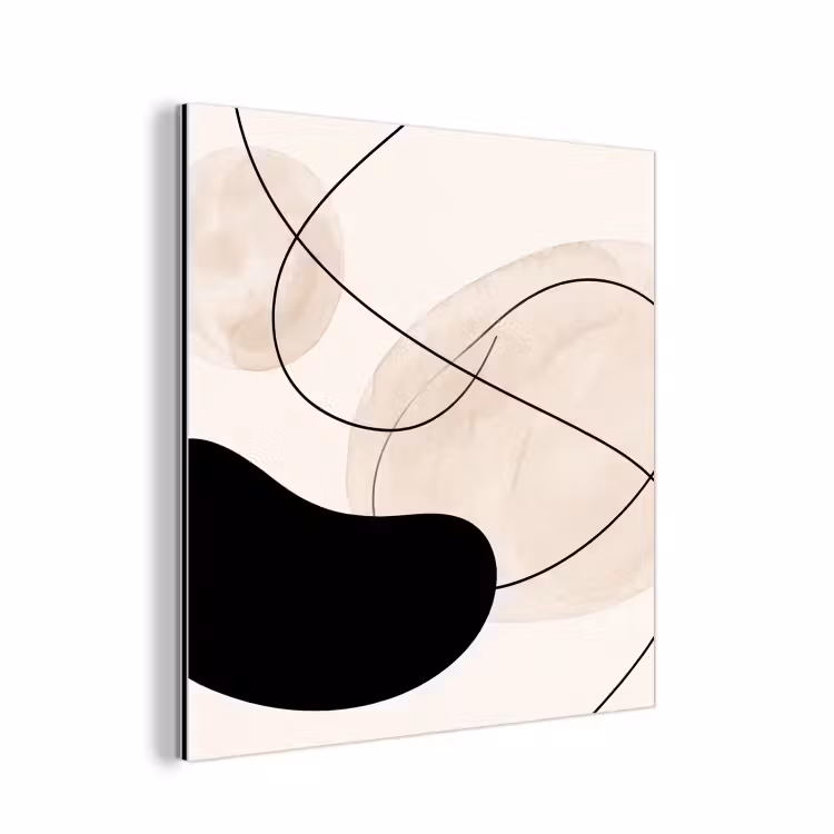 aluminium wall art - Abstract - Forms - Art - Abstract - Vormen - Kunst aluminium wit klein