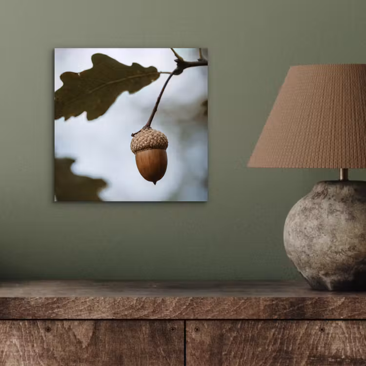 Eikel - Eikenblad - Bos - Herfst - Natuur aluminium wit klein -sfeer2