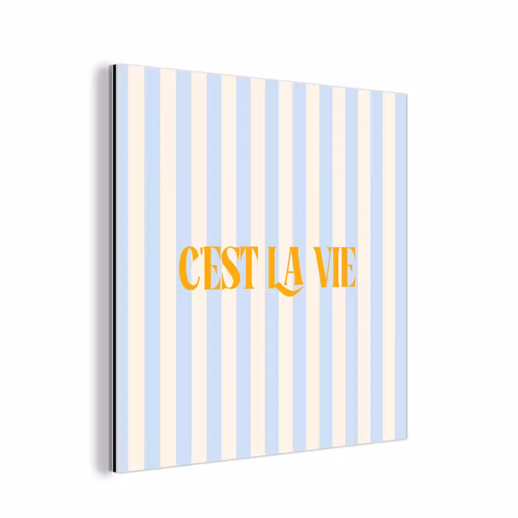 Alt: Oranje - Blauw - Strepen - C'est la vie aluminium wit klein -3d
