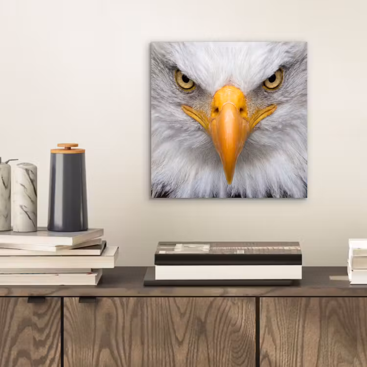 Amerikaans - Zeearend - Portret - Geel aluminium wit klein -sfeer1