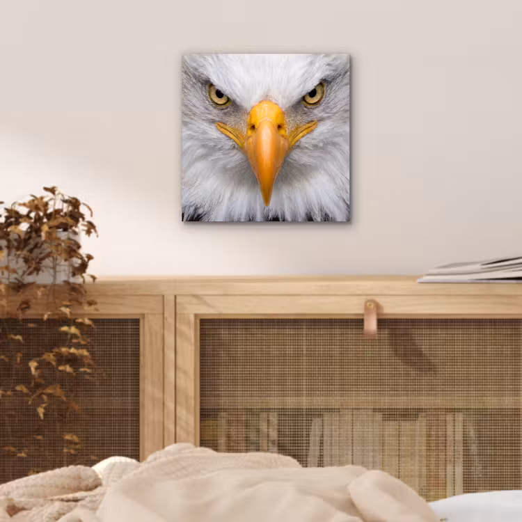 Amerikaans - Zeearend - Portret - Geel aluminium wit klein -sfeer3
