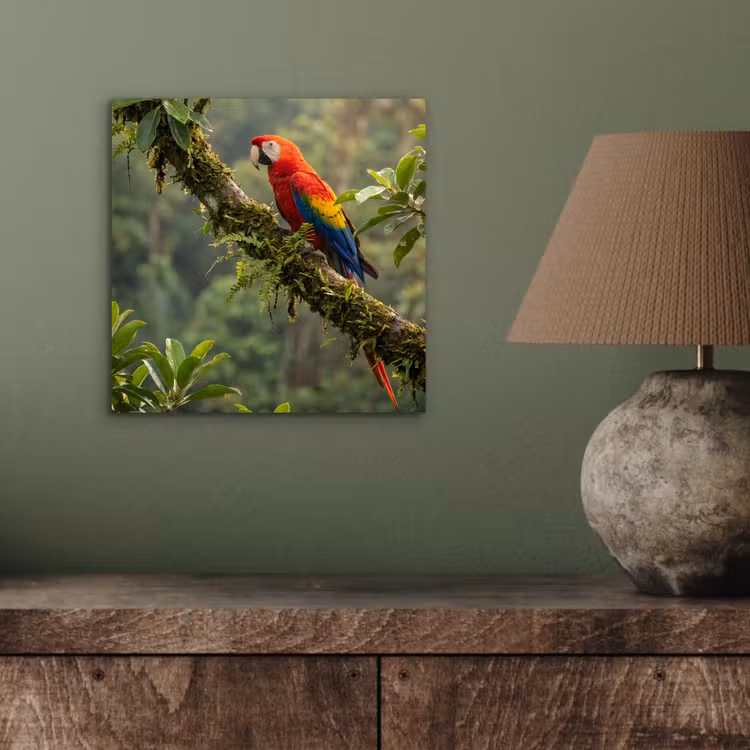 Ara - Jungle - Rood aluminium wit klein -sfeer2