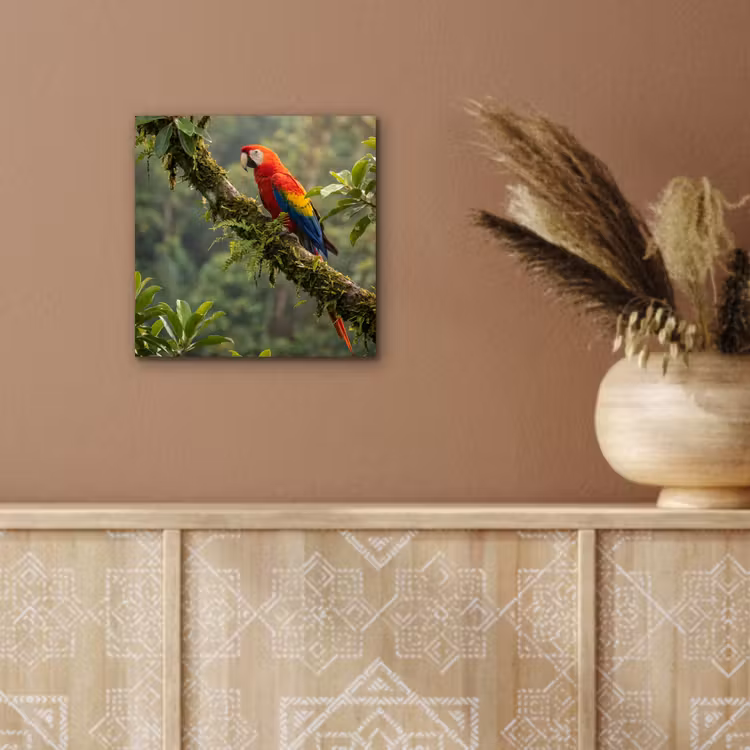 Ara - Jungle - Rood aluminium wit klein -sfeer4