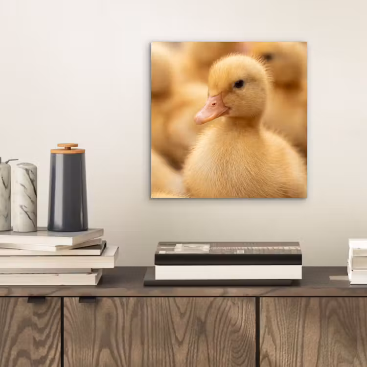 Pijltje - Eend - Natuur - Geel aluminium wit klein -sfeer1