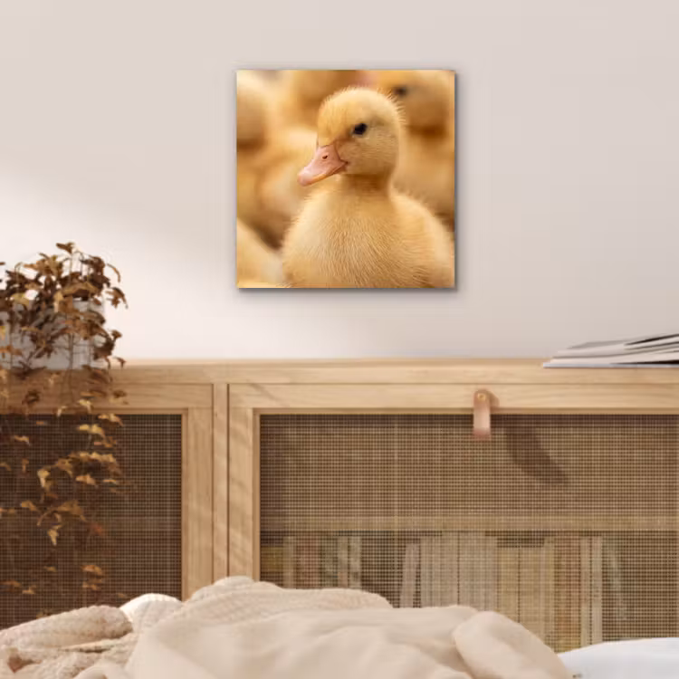 Pijltje - Eend - Natuur - Geel aluminium wit klein -sfeer3