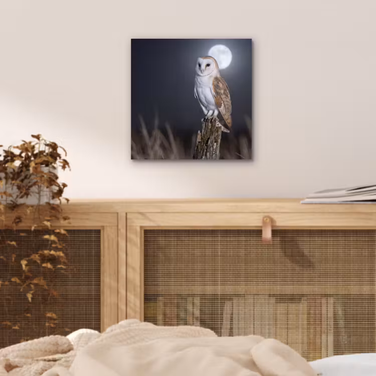 Kerkuil - Maan - Nacht aluminium wit klein -sfeer3