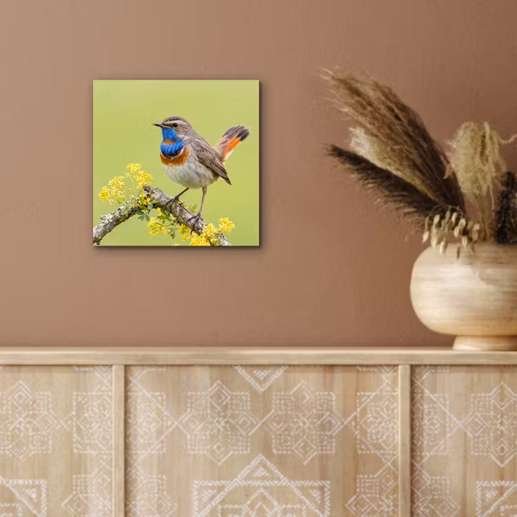 Vogel - Tak - Natuur - Kleurrijk aluminium wit klein -sfeer4
