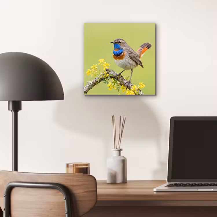 Vogel - Tak - Natuur - Kleurrijk aluminium wit klein -sfeer5