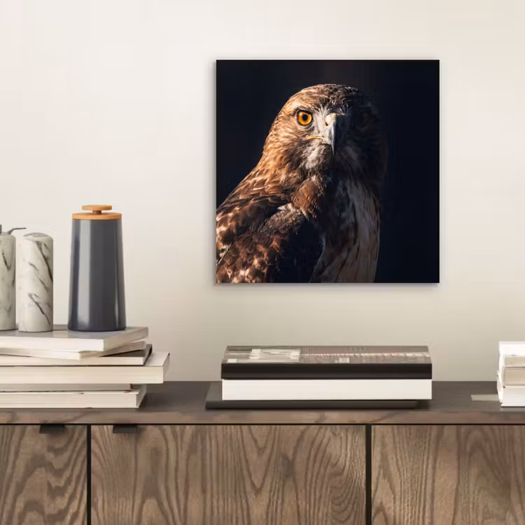 Roofvogel - Buizerd - Bruin aluminium wit klein -sfeer1