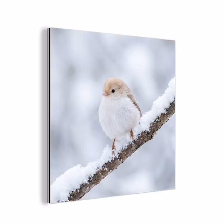 Vogeltje - Sneeuw - Tak - Winter - Zacht aluminium wit klein -3d