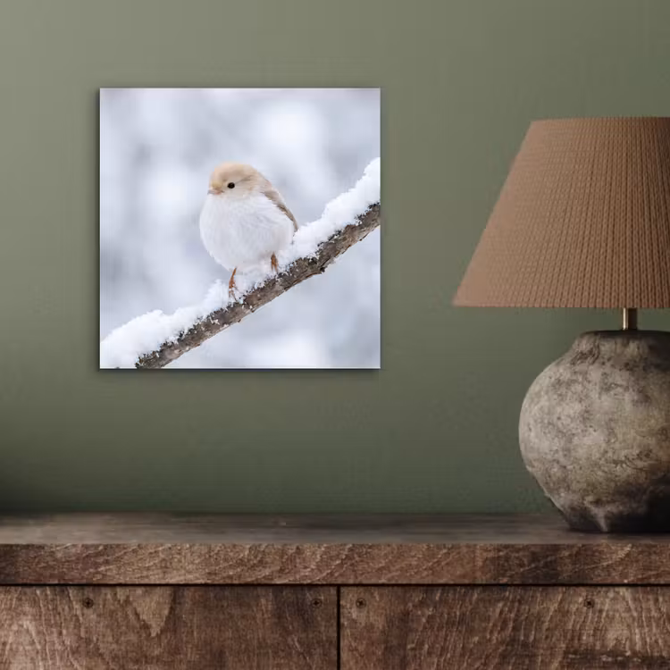 Vogeltje - Sneeuw - Tak - Winter - Zacht aluminium wit klein -sfeer2