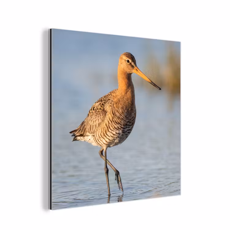 Vogel - Steltloper - Water - Natuur aluminium wit klein -3d