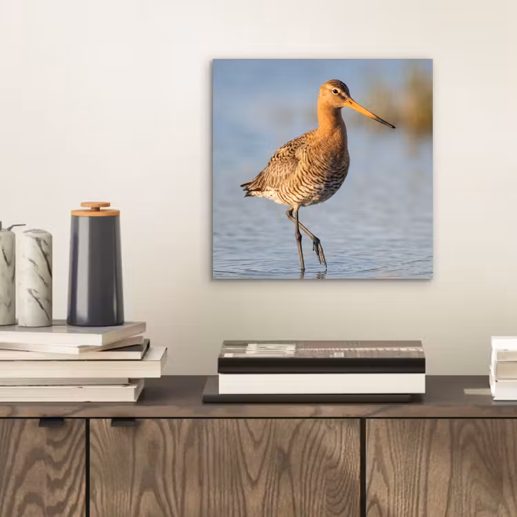 Vogel - Steltloper - Water - Natuur aluminium wit klein -sfeer1